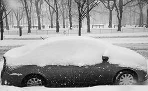 Snowstorm : 2021 : New York : Personal Photo Projects : Photos : Richard Moore : Photographer